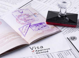 專利申請(qǐng)文件的翻譯